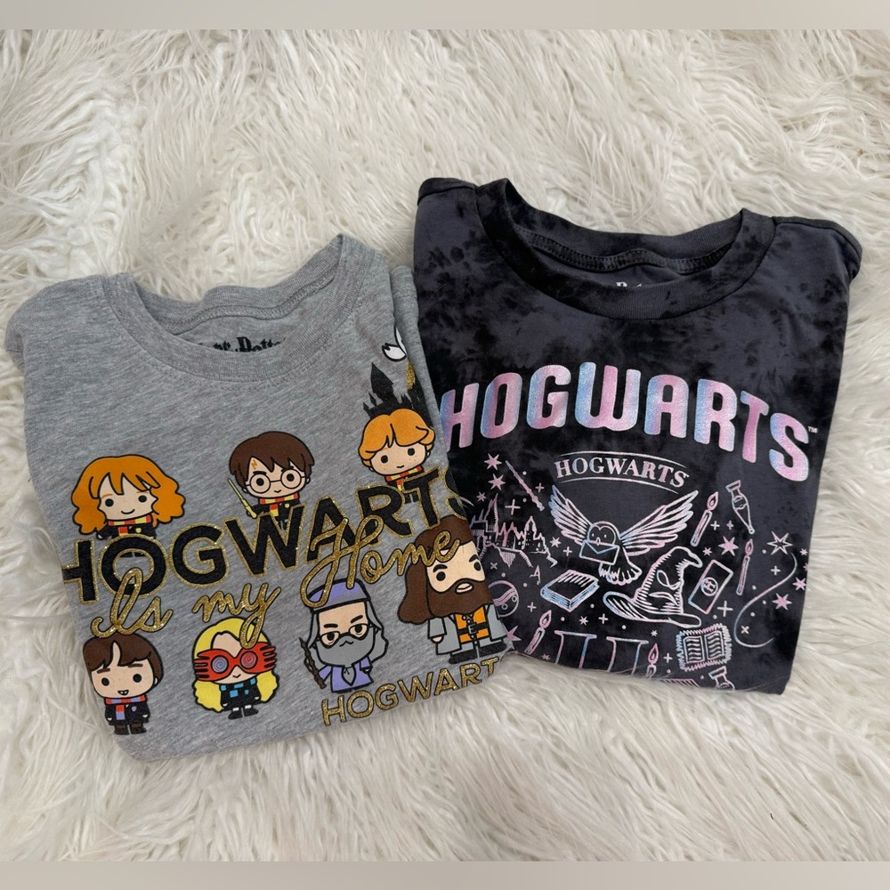 Harry Potter Hogwarts fan must have shirts!